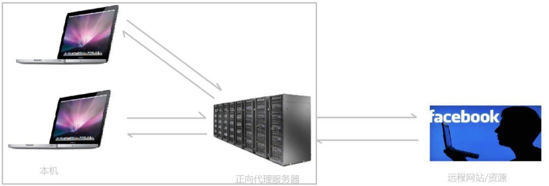 看完这篇还不了解