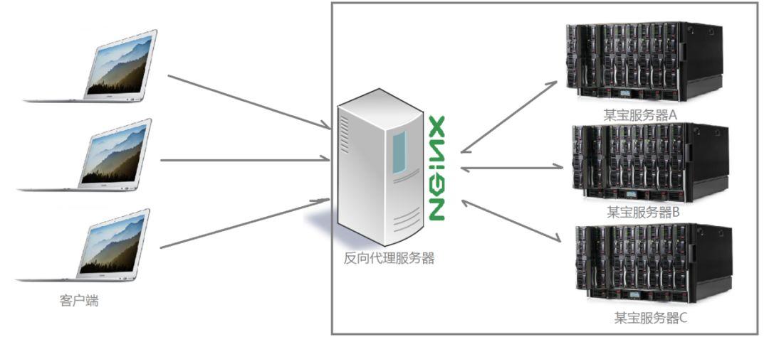 看完这篇还不了解