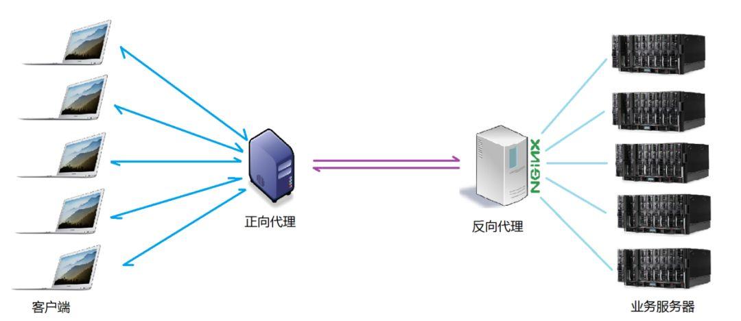 看完这篇还不了解