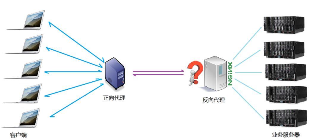 看完这篇还不了解